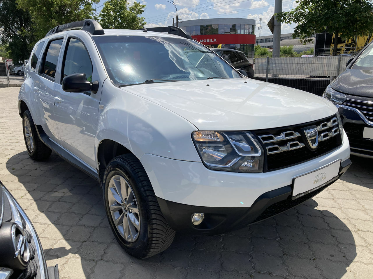 <span style="font-weight: bold;">dacia duster</span>